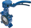 DN50 (2 inch) PN12 Lug Butterfly Valve GGG40-Stainless steel-EPDM