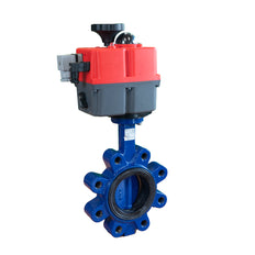 Electric Butterfly Valve DN50 24-240V AC/DC Fail-Safe Lug GGG40 EPDM J+J