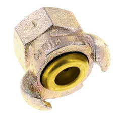Cast Iron DN 17 DIN 3489 Twist Claw Coupling Rp 1'' Female