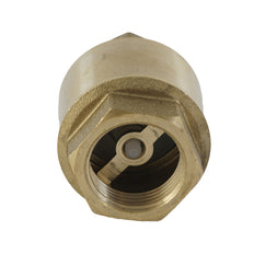 G4'' Brass Check Valve NBR PN8 - CLIB