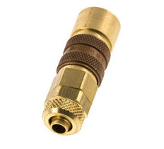 Brass DN 5 Brown Air Coupling Socket 6x8 mm Union Nut