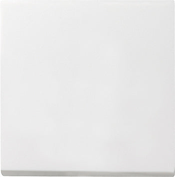 Gira System 55 Control Element/Central Plate Switchgear - 029627 [2 Pieces]