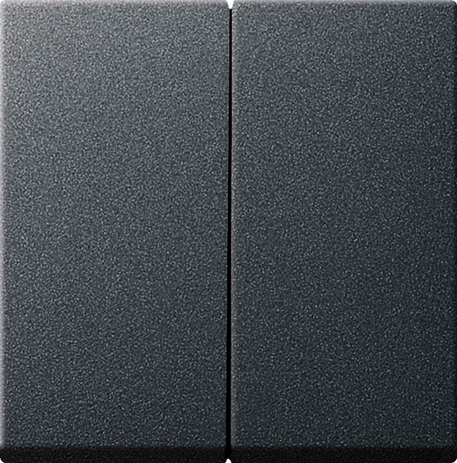 Gira System 55 Control Element/Central Plate Switchgear - 029528