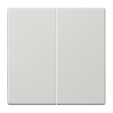 Jung LS990 Control Element/Central Plate Switchgear - LS995LG