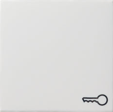 Gira System 55 Control Element/Central Plate Switchgear - 028703 [2 Pieces]