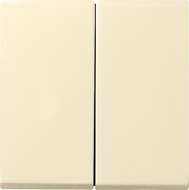 Gira System 55 Control Element/Central Plate Switchgear - 029501