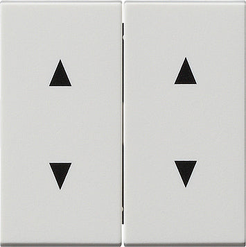 Gira System 55 Control Element/Central Plate Switchgear - 115027