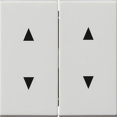 Gira System 55 Control Element/Central Plate Switchgear - 115027