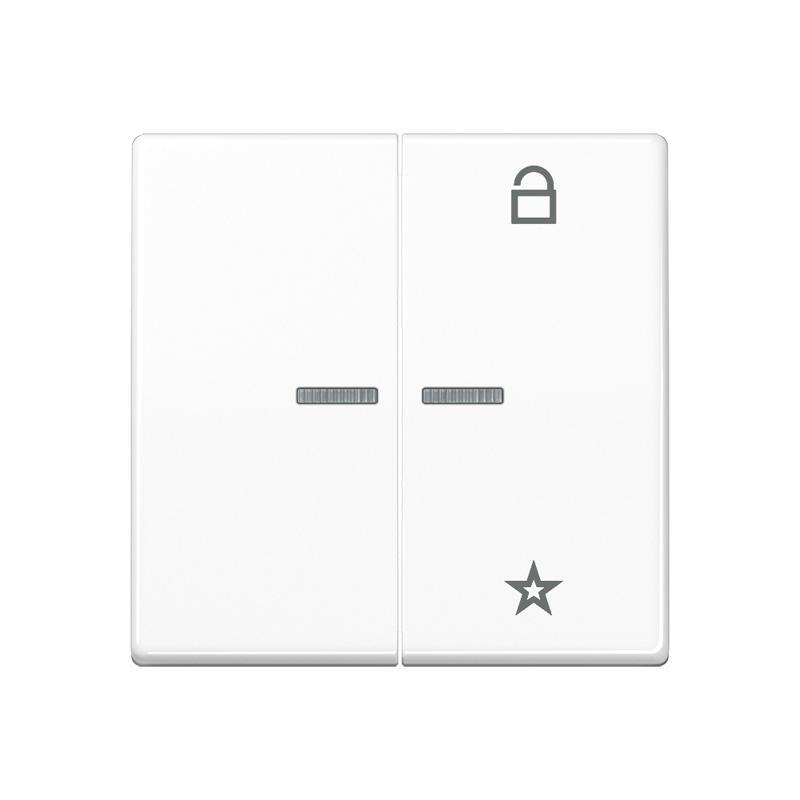Jung Intelligent Control Element - FMAS1701WW