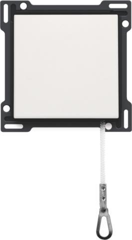 Niko Original Control Element/Central Plate Switchgear - 101-63606