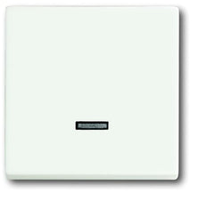 ABB Busch-Jaeger Future Control Element/Central Plate Switchgear - 2CKA006599A2963