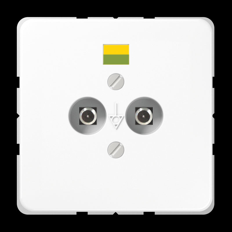 Jung CD500 Potential Equalization Socket Outlet - CD565-2NWW