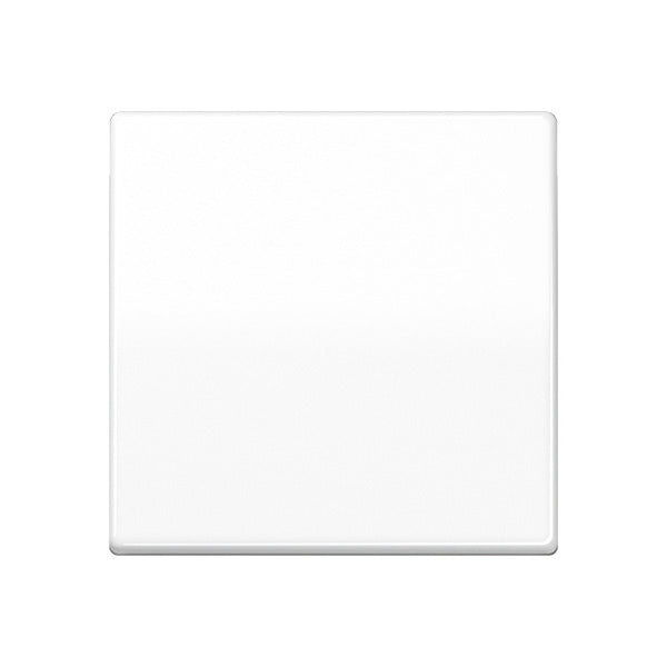 Jung AS500 Control Element/Central Plate Switchgear - AS591WW [2 Pieces]