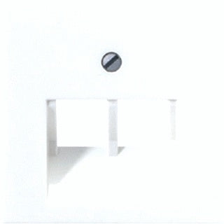 Jung A RANGE Insert Switchgear Plate - A569-2BFPLUACH | Tameson.com