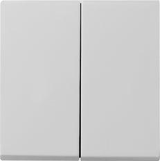 Gira System 55 Control Element/Central Plate Switchgear - 0295015