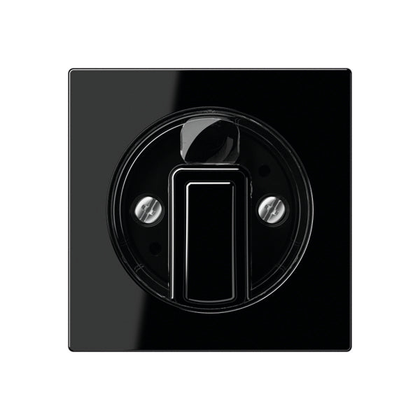 Jung Control Element/Central Plate Switchgear - A1541SW