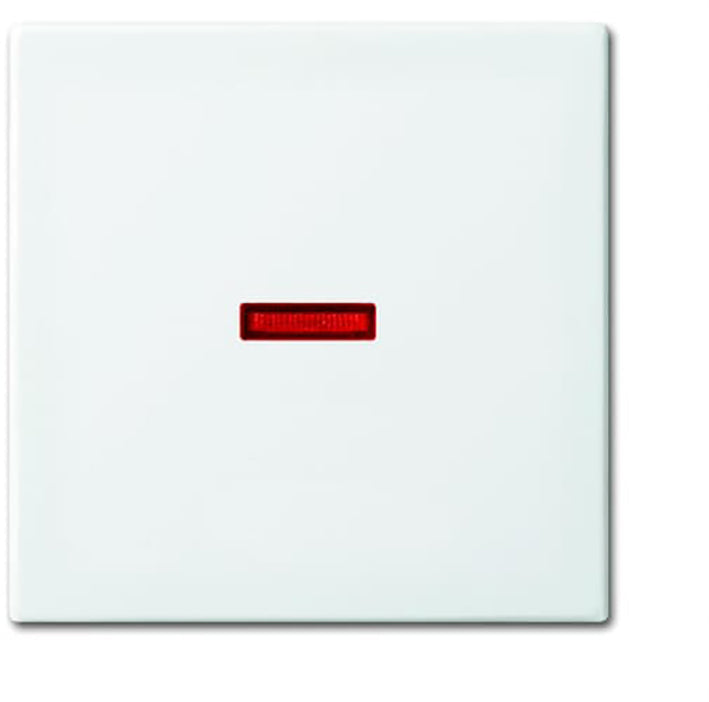ABB Busch-Jaeger Control Element/Central Plate Switchgear - 2CKA001731A2016 [2 Pieces]