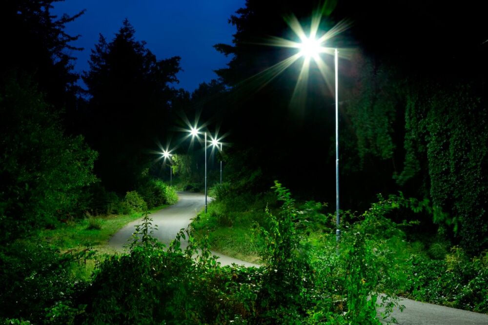 Philips TrueForce Core LED-lamp - 75031200