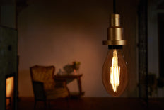 Osram Vintage 1906 LED bulb - 4058075808706