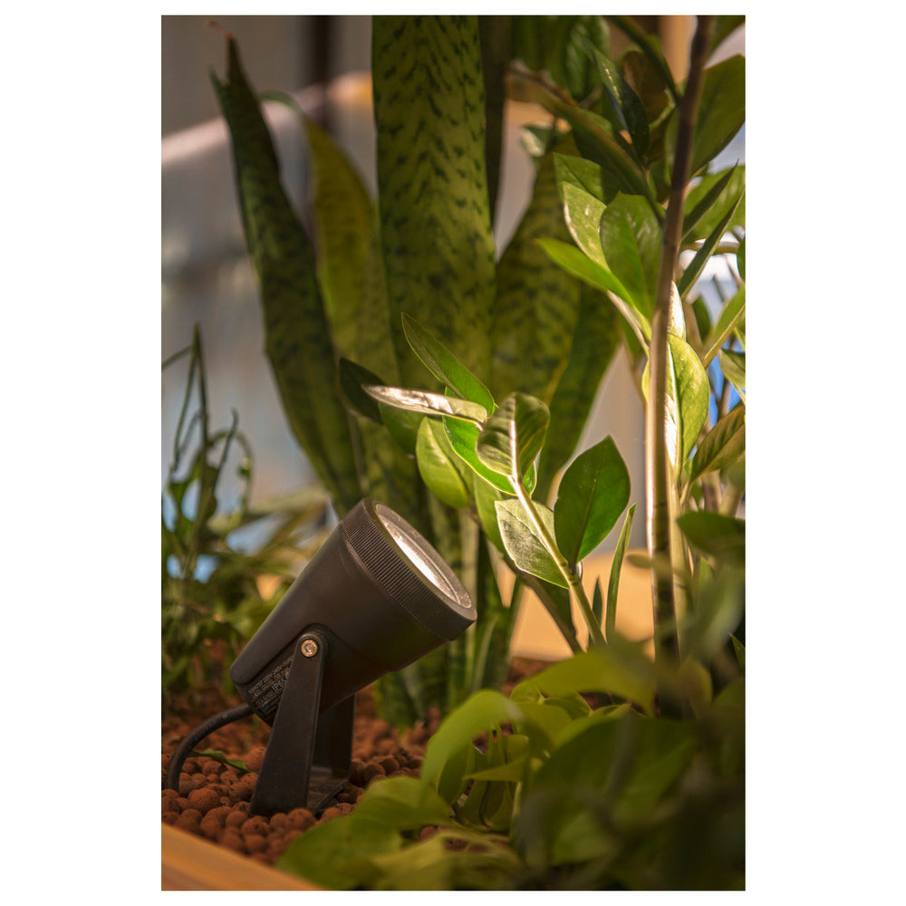 SLV Samrina Garden/footpath Lighting Fixture - 1004757