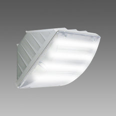 Disano Vega LED IP65 Wall Light 20W 4000K Grey - 42066600