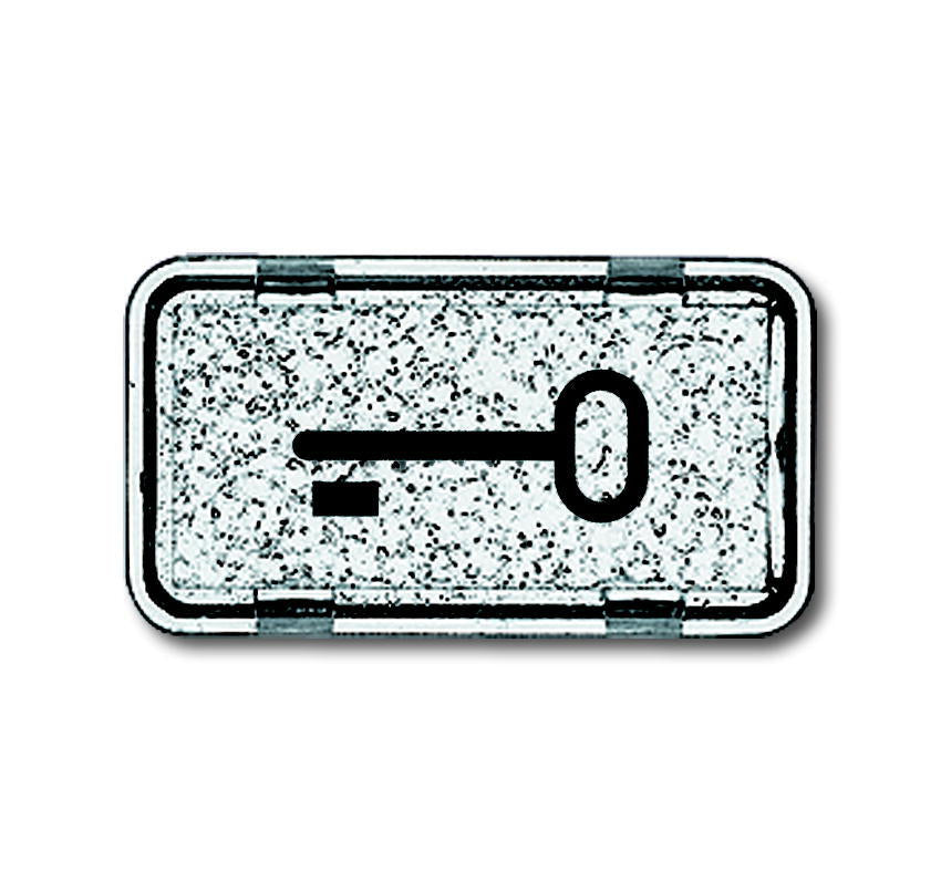 ABB Busch-Jaeger Key Symbol for 2106 IP44 Rocker Switch - 2CKA001714A0 ...