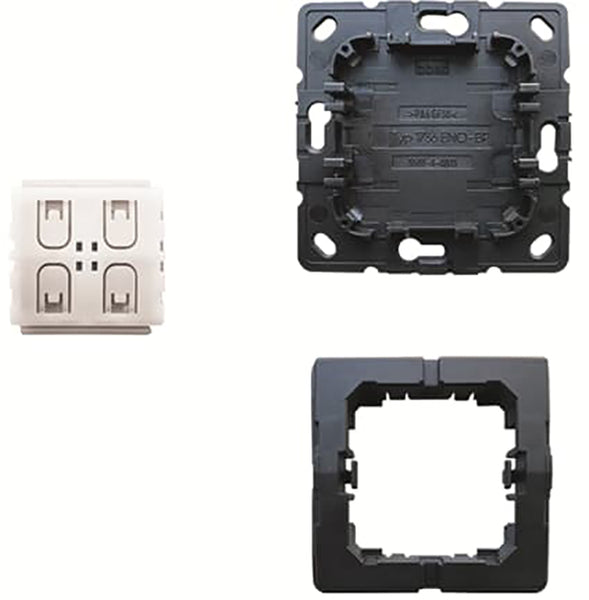 ABB Busch-Jaeger Friends Of Hue 2-Channel Switch 6716 U-500