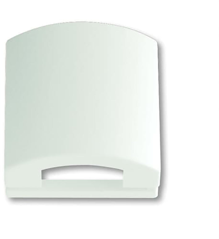 ABB Busch-Jaeger 50x50 Cover Plate in Matte White - 2CKA001710A3876