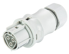 Wieland RST Classic Connector 3P 20A 250V - 96.031.4153.0