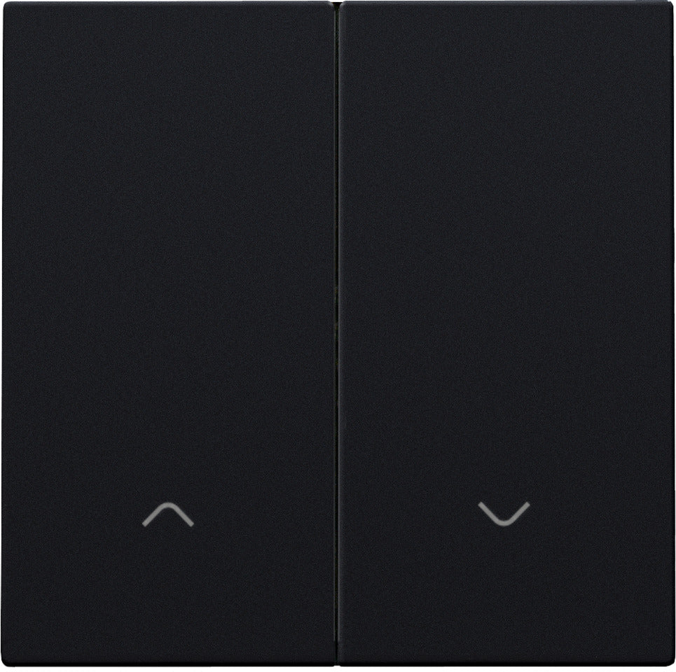 Black Coated Double Electronic Shutter Control Switch - 161-31006 ...