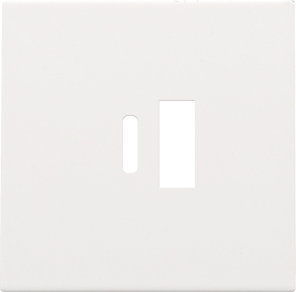 Dual Smart USB-A And USB-C Charger Cover Plate White - 154-68002