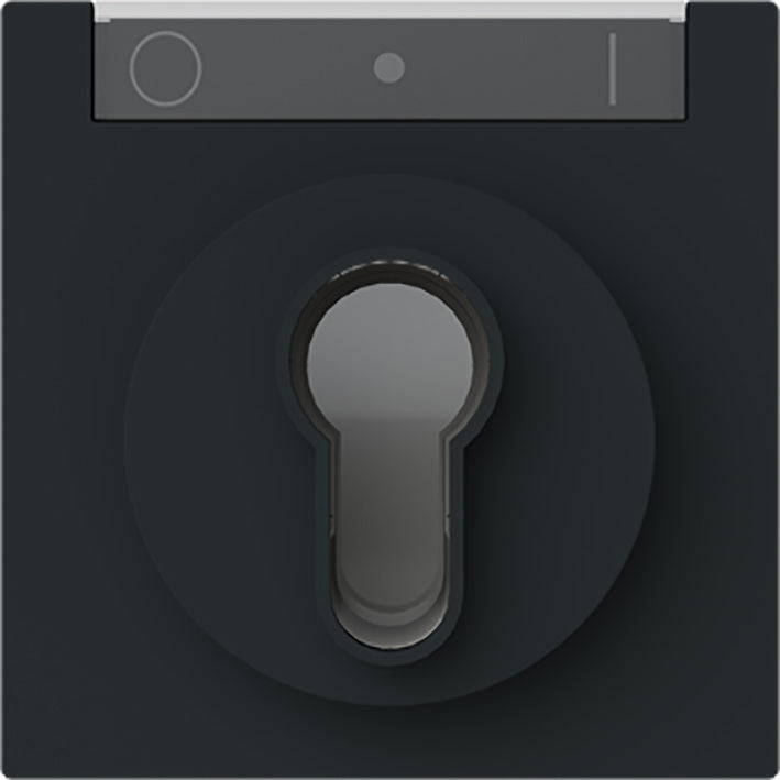 ABB Busch-Jaeger Key Switch Control Plate IK03 Black - 2CKA001710A4160