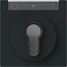 ABB Busch-Jaeger Key Switch Control Plate IK03 Black - 2CKA001710A4160