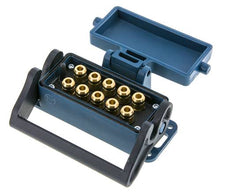 Brass Multi-coupling Socket 10x6 mm Push-in Connections Unlocking Protection
