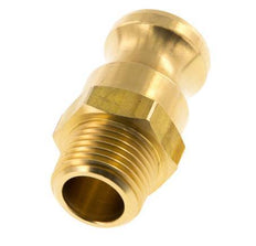 Camlock DN 15 (1/2'') Brass Coupling R 1/2'' Male Thread Type F MIL-C-27487