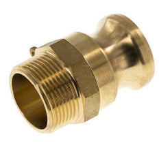 Camlock DN 32 (1 1/4'') Brass Coupling R 1 1/4'' Male Thread Type F MIL-C-27487