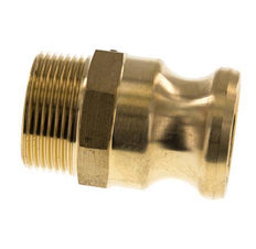Camlock DN 32 (1 1/4'') Brass Coupling R 1 1/4'' Male Thread Type F MIL-C-27487