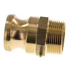 Camlock DN 32 (1 1/4'') Brass Coupling R 1 1/4'' Male Thread Type F MIL-C-27487