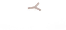3 mm POM Y Hose Connector [20 Pieces]