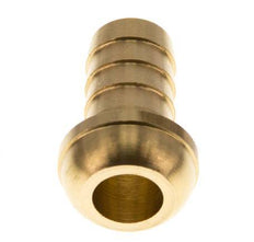 13 mm (1/2'') Brass Hose Barb without Union Nut (G3/4'') 13.5mm [2 Pieces]