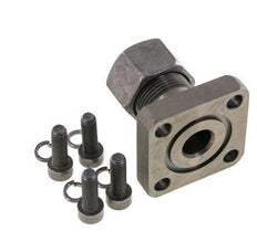 LK 55 Pump Flange Steel with 20S (M30x2)