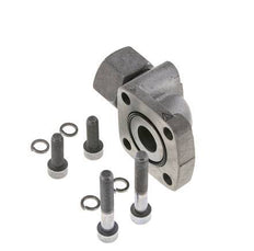 LK 55 Elbow Pump Flange Malleable cast iron with 20S (M30x2)