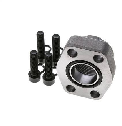 1-1/4'' SAE Flange 3000 PSI Plain Steel with G1-1/4'' Female Threads ISO 6162-1