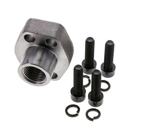 1/2'' SAE Flange 6000 PSI Plain Steel with G1/2'' Female Threads ISO 6162-2