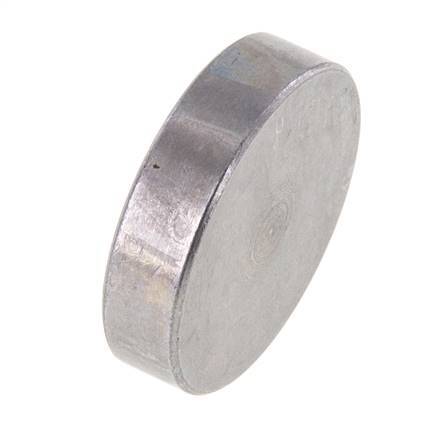 1/2'' SAE Blind Plate 6000 PSI Steel ISO 6162 [2 Pieces]