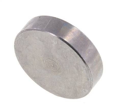 1/2'' SAE Blind Plate 6000 PSI Steel ISO 6162 [2 Pieces]