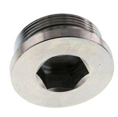 Plug M48 X 2 Steel NBR with Internal Hex 250bar (3512.5psi)