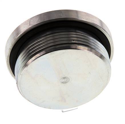 Plug M48 X 2 Steel NBR with Internal Hex 250bar (3512.5psi)