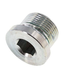Plug M24 X 1.5 Steel FKM with Internal Hex 400bar (5620.0psi)