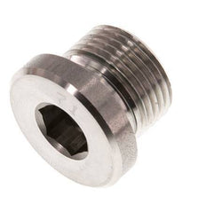 Plug M20 X 1.5 Stainless steel FKM with Internal Hex 400bar (5620.0psi)